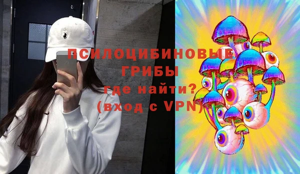 бошки Аркадак